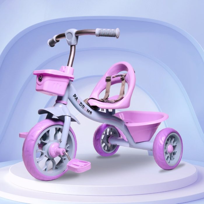 PANDROMS Kids Tricycle (PTC3003) - Lavender/Blue